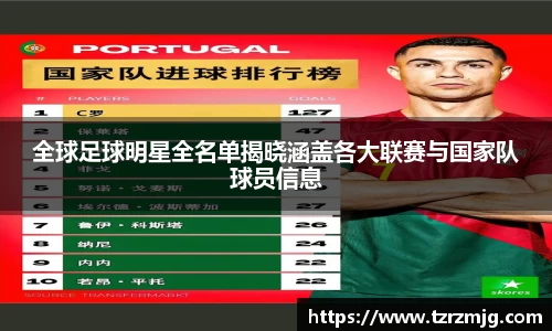 全球足球明星全名单揭晓涵盖各大联赛与国家队球员信息