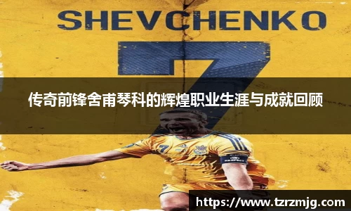 传奇前锋舍甫琴科的辉煌职业生涯与成就回顾